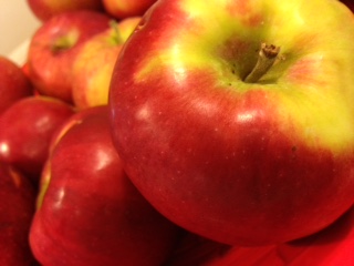 Hope Orchards - McIntosh and Cortland apples- That is what